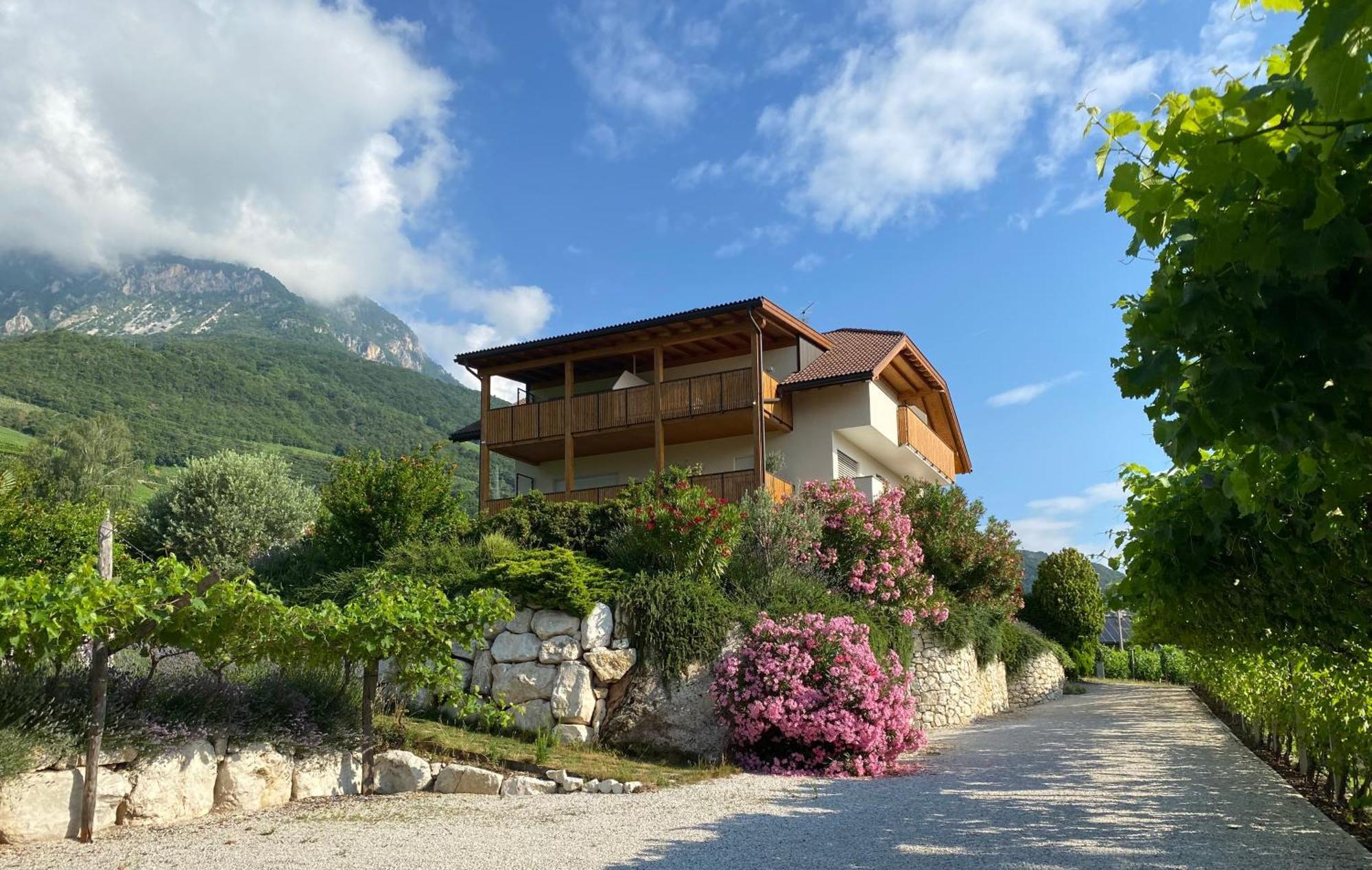 Sonnenhof Tramin - Adults Only Apartment Termeno Exterior photo